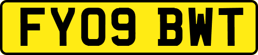 FY09BWT