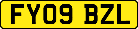 FY09BZL