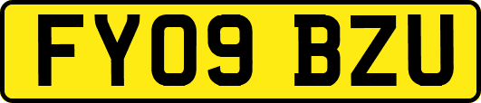 FY09BZU