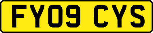 FY09CYS