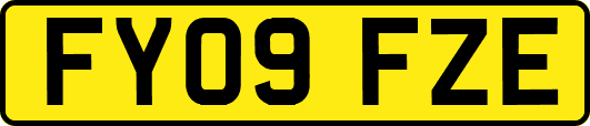 FY09FZE