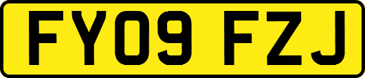 FY09FZJ