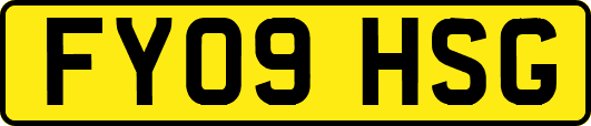 FY09HSG