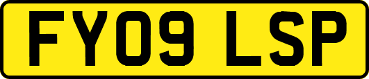 FY09LSP