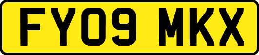 FY09MKX