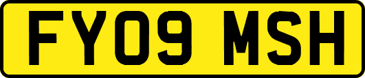 FY09MSH