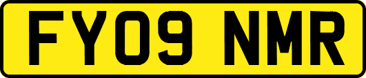 FY09NMR