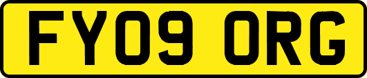FY09ORG