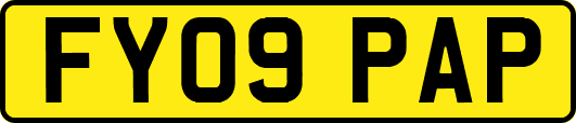 FY09PAP