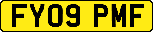 FY09PMF