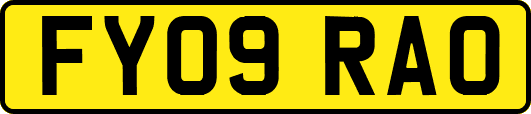 FY09RAO