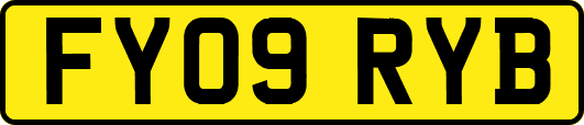 FY09RYB