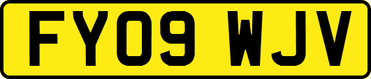 FY09WJV