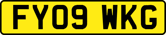 FY09WKG
