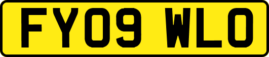 FY09WLO