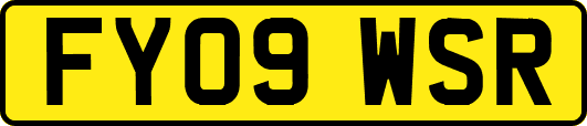 FY09WSR