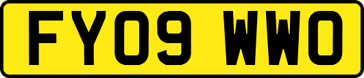 FY09WWO