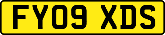 FY09XDS