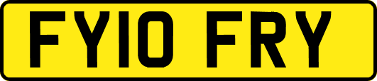 FY10FRY