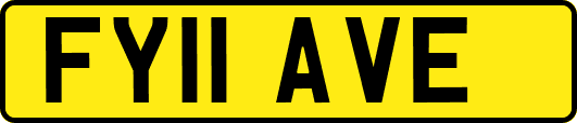 FY11AVE