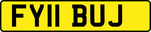 FY11BUJ