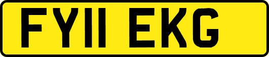 FY11EKG