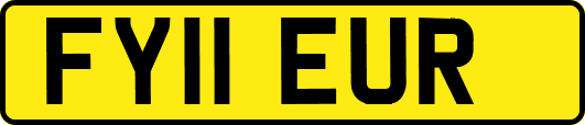 FY11EUR