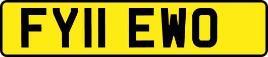 FY11EWO