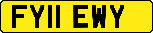 FY11EWY