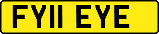 FY11EYE