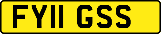 FY11GSS