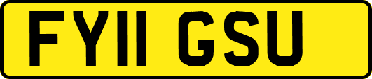 FY11GSU