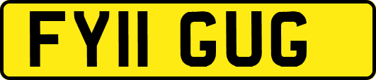 FY11GUG