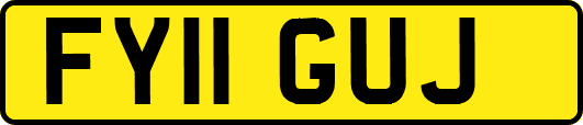 FY11GUJ