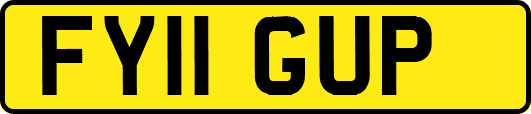 FY11GUP