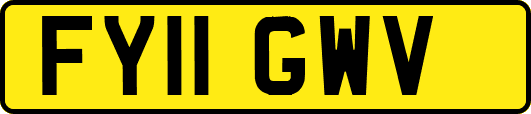 FY11GWV