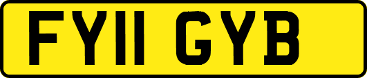 FY11GYB