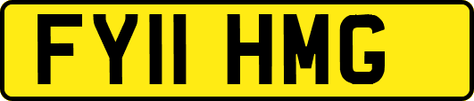 FY11HMG