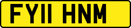 FY11HNM