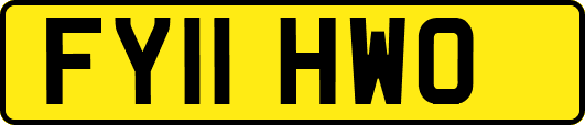 FY11HWO