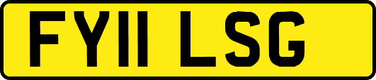 FY11LSG