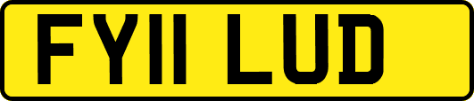 FY11LUD