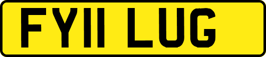 FY11LUG