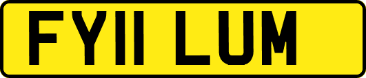 FY11LUM