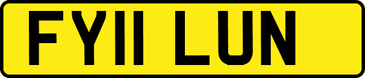 FY11LUN