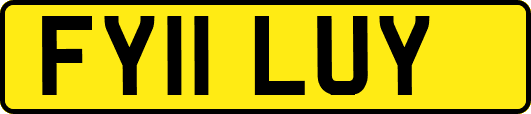 FY11LUY