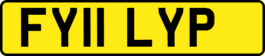 FY11LYP