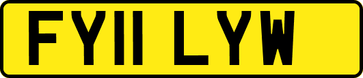 FY11LYW