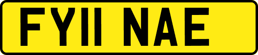 FY11NAE