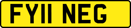 FY11NEG